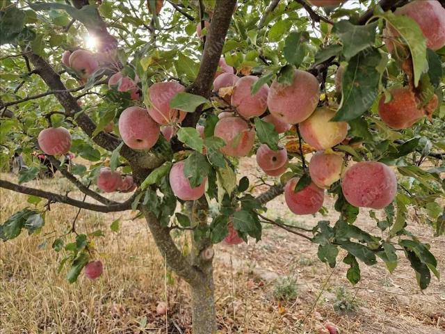 Участок продажа в Полтавской области
