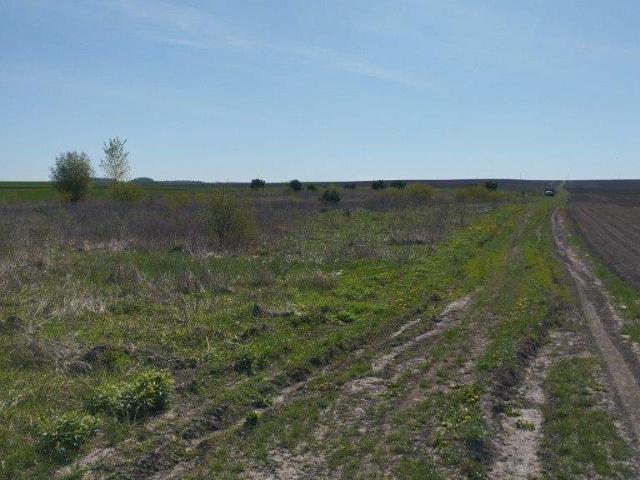 Участок продажа в Ровно