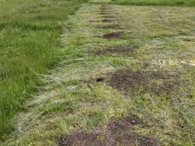 Участок продажа в Полтавской области