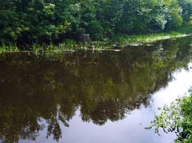 Участок продажа в Луцке