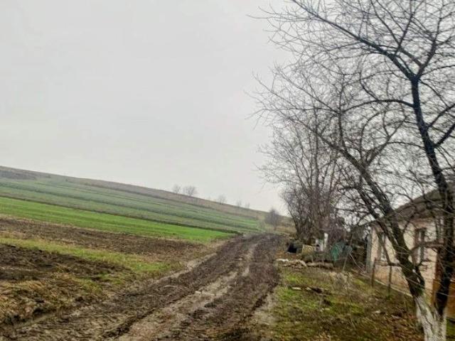 Участок продажа в Ровно