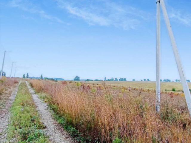 Участок продажа в Гречаны, Хмельницком