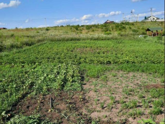 Участок продажа в Гречаны, Хмельницком