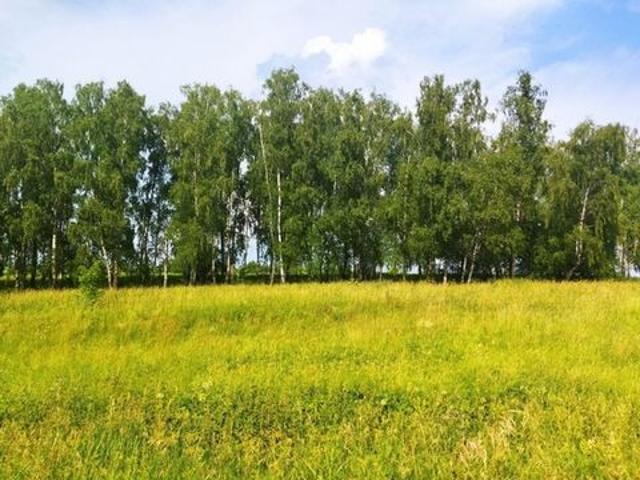 Участок продажа в Тульская область