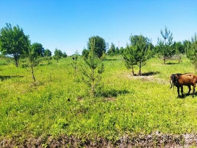 Участок продажа в Тульская область