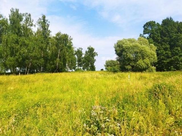 Участок продажа в Тульская область