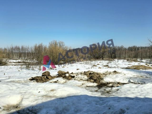 Участок продажа в Тульская область