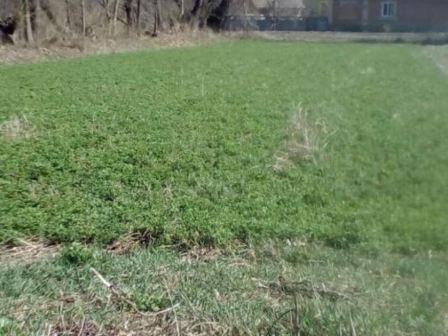 Участок продажа в Ильковке