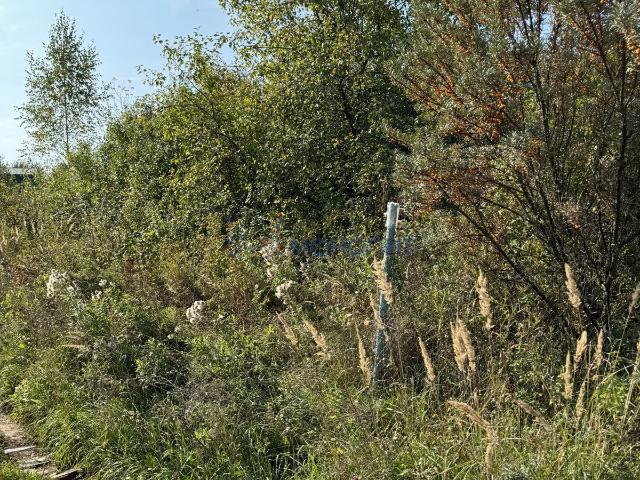 Участок продажа в Тыва Республика
