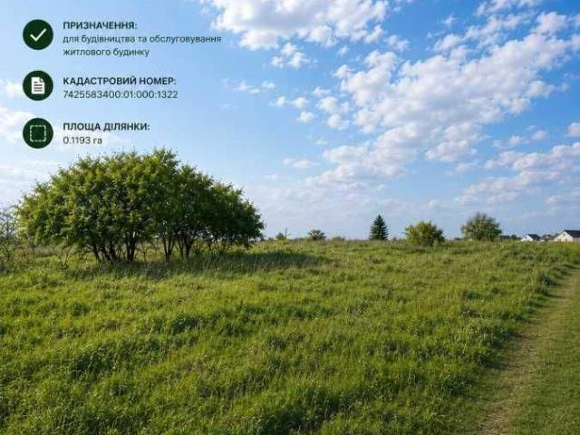 Участок продажа в Киенке, Черновицкой области