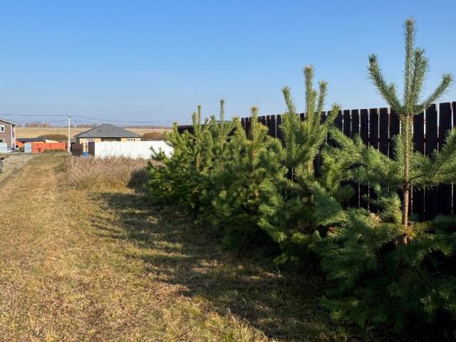 Участок продажа в Кировский, Аргаяшский район