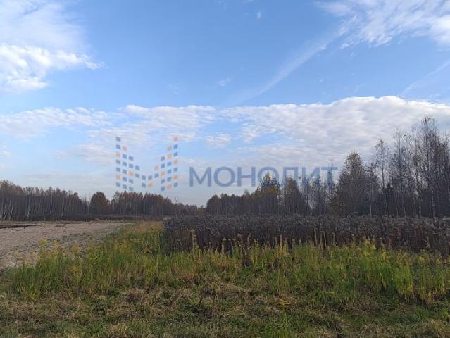 Участок продажа в Городецкий муниципальный округ, Приволжский федеральный округ
