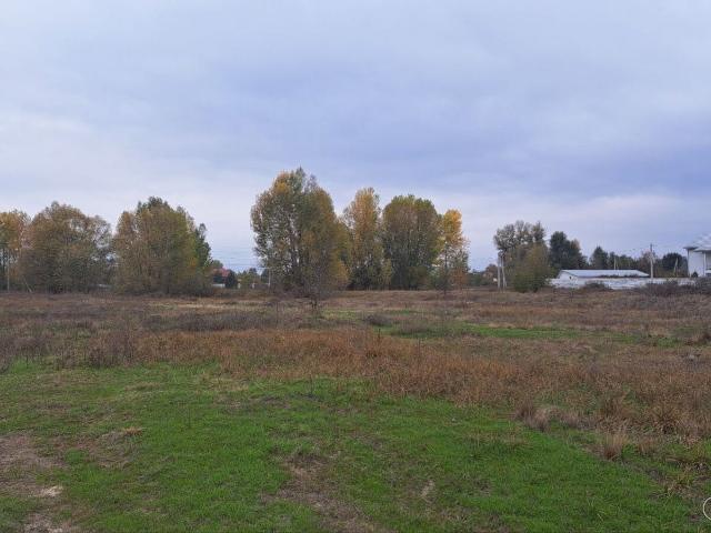 Участок аренда в Рожнях, Винницкой области