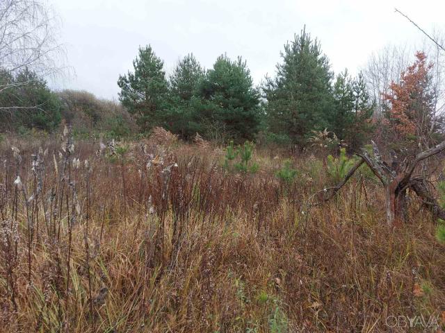 Участок аренда в Винницкой области