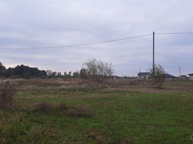 Участок аренда в Рожнях, Винницкой области