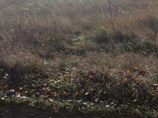 Участок аренда в Винницкой области