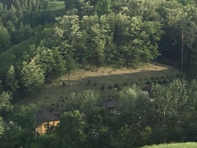 Участок аренда в Винницкой области