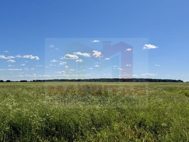 Участок продажа в Ленинградская область