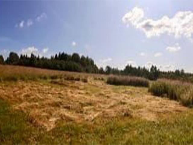 Участок продажа в Новгородская область