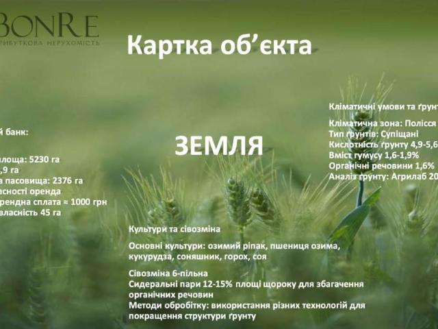 Участок продажа в Черновицкой области