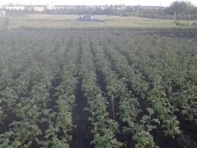 Участок продажа в Кропивницком