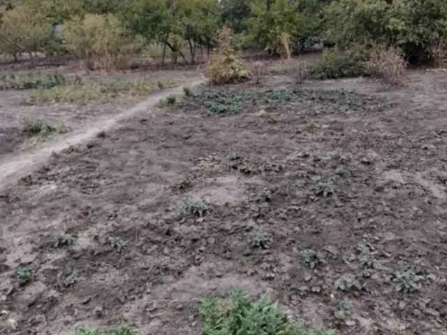 Участок продажа в Кропивницком