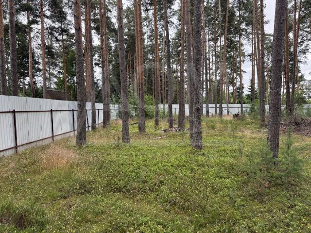 Участок продажа в Ленинградская область