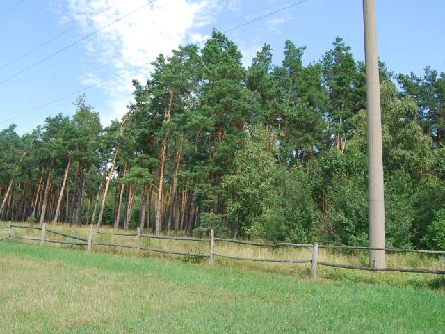 Участок продажа в Лебедевке, Винницкой области