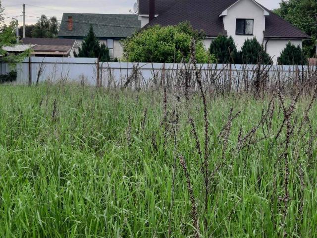 Участок продажа в Лютиже, Винницкой области