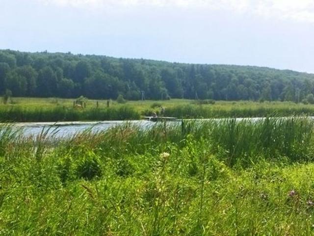 Участок продажа в Тульская область