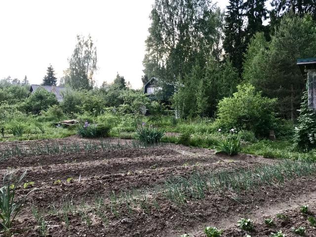 Участок продажа в Новгородская область