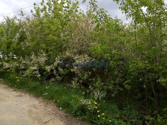 Участок продажа в Богородский Р-н, Тыва Республика