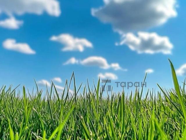 Участок продажа в Челябинская область