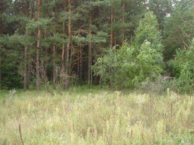 Участок продажа в Новом Залесье, Винницкой области