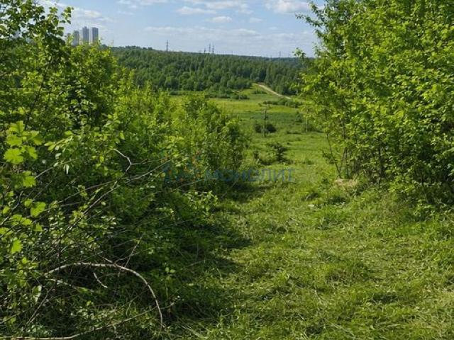 Участок продажа в Новопокровское Д, Тыва Республика