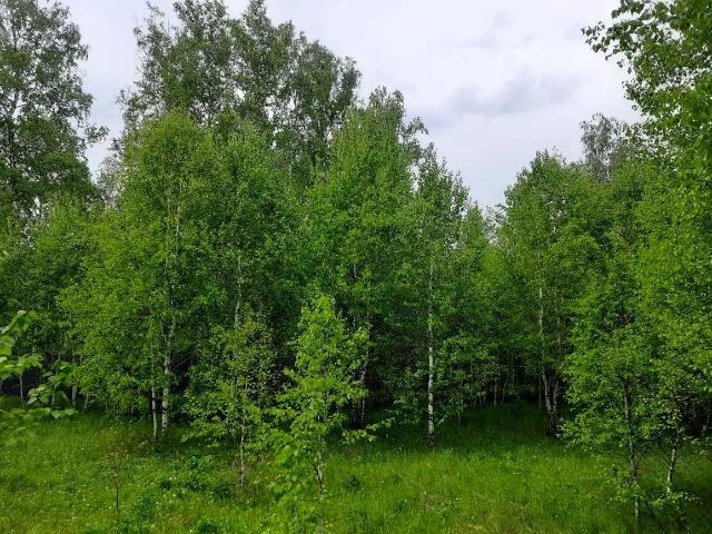 Участок продажа в Челябинская область