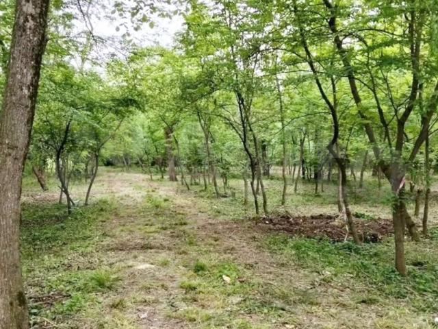 Участок продажа в Пятигорск, Ставропольский Край