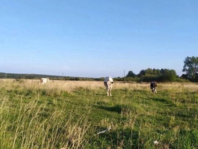 Участок продажа в Пермский Край