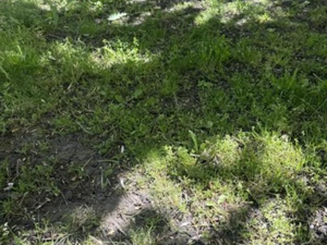 Участок продажа в Армавир, Краснодарский Край
