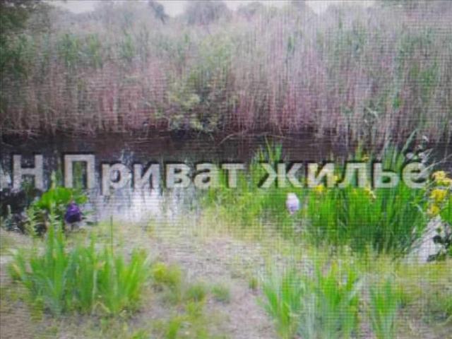 Участок продажа в Полтавской области