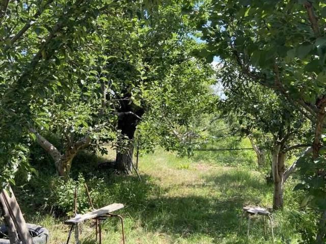 Участок продажа в Полтавской области
