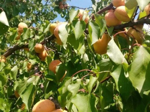 Участок продажа