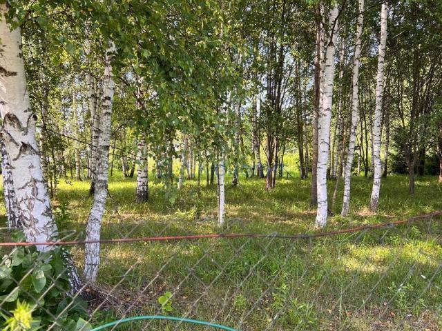 Участок продажа в Тыва Республика