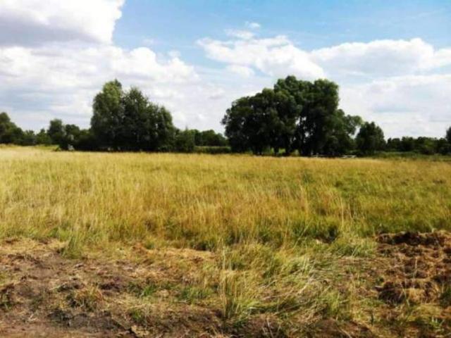 Участок продажа в Рогозове, Винницкой области