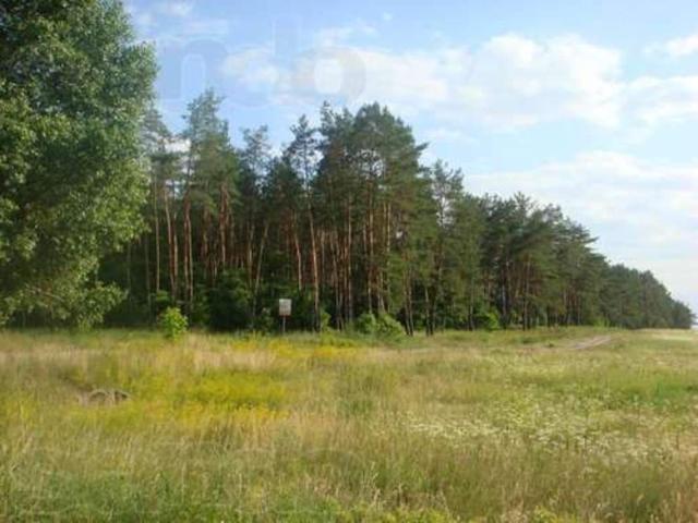 Участок продажа в Рогозове, Винницкой области