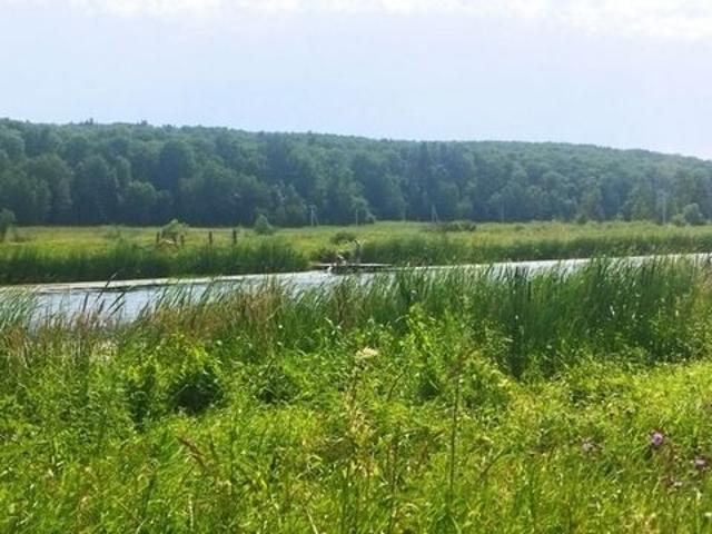 Участок продажа в Тульская область