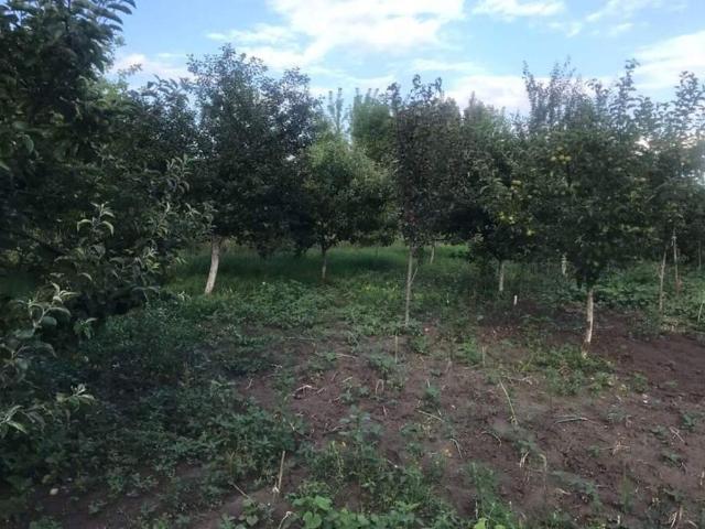Участок продажа в Цукровий Завод, Деражня