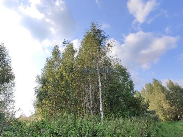 Участок продажа в Богородский Р-н, Тыва Республика