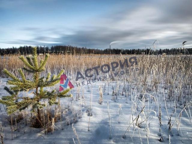 Участок продажа в Тульская область