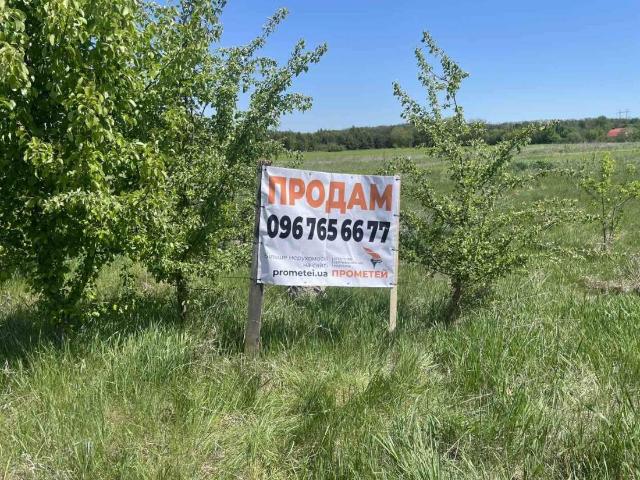 Участок продажа в Селище
